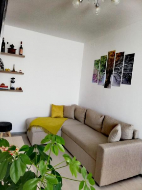 Apartament Raluca